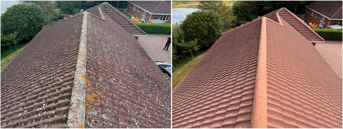 Before and after roof cleaning comparison showing a moss-covered roof transformed to clean red tiles